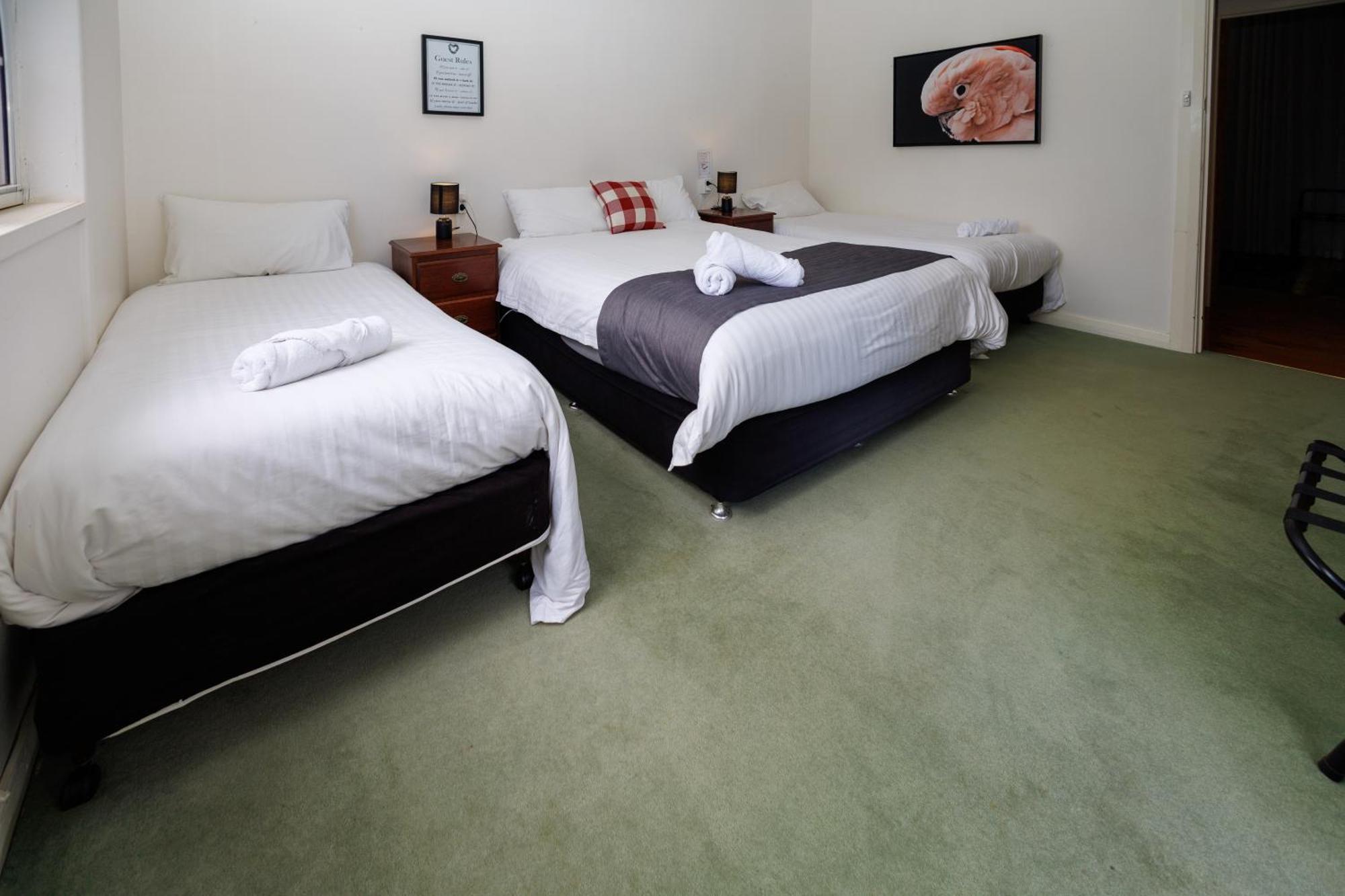 Big4 Cape Jervis Accommodation & Caravan Park المظهر الخارجي الصورة